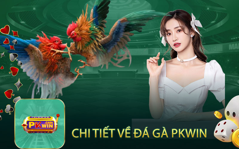 Đá Gà Trực Tiếp pkwin